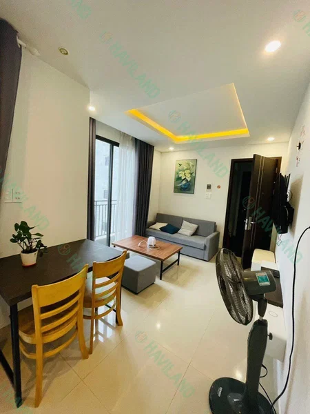 Apartment for rent in Da Nang, Vietnam · ing · 2 rooms, 1 bath