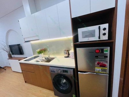 Apartment for rent in Da Nang, Vietnam · My An · 1 room, 1 bath