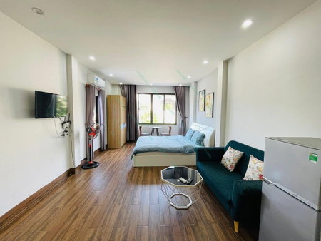 Apartment for rent in Da Nang, Vietnam · Son Tra · 1 room, 1 bath
