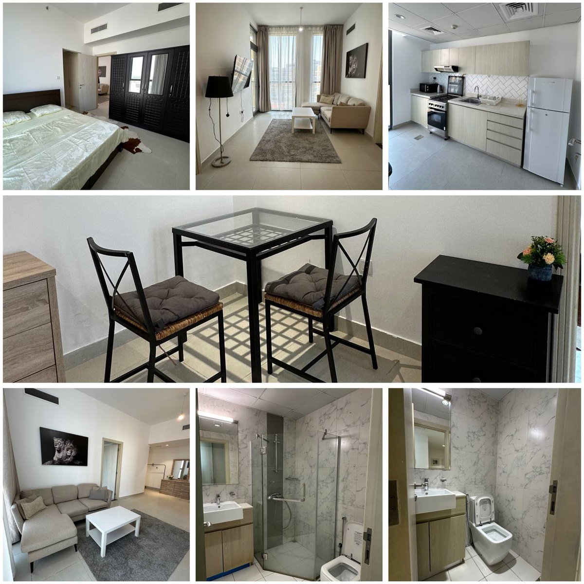 Apartment in Zayed City, United Arab Emirates