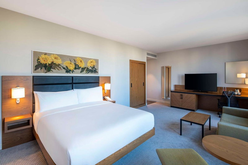 Hilton Garden Inn Tbilisi Chavchavadze, Tbilisi City, Georgien