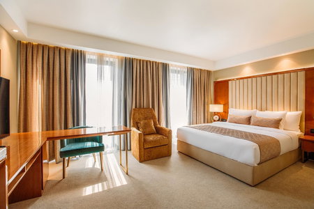 Marjan Plaza Hotel, Tbilisi City, Georgia