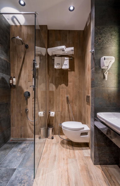 Bridge Hotel, Tbilisi City, Грузия
