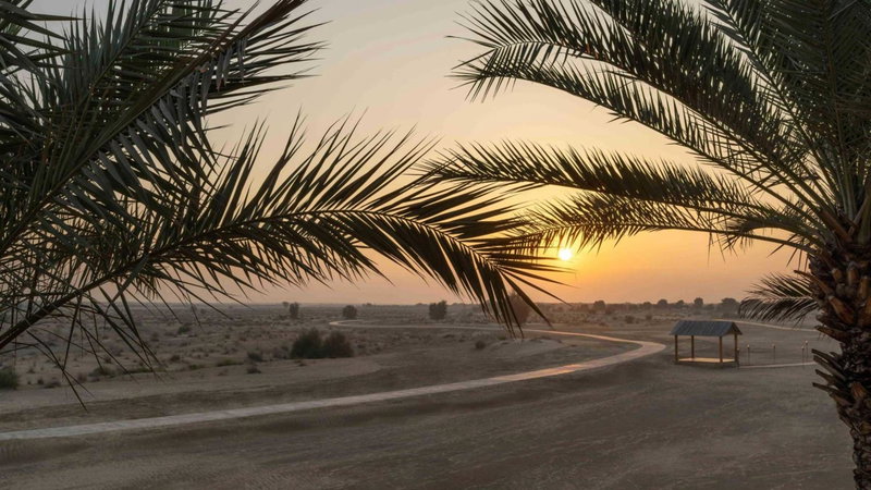 Bab Al Shams, A Rare Finds Desert Resort, Dubai, Dubai, United Arab Emirates