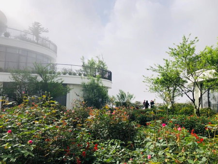 Pao's Sapa Leisure Hotel, Lao Cai, Vietnam