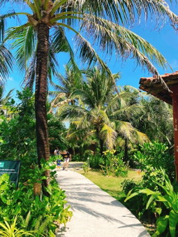 Thanh Kieu Beach Resort, Duong GJong, Вьетнам