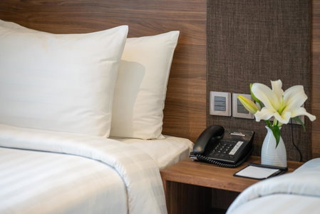 Northern Charm Hotel, Thành phố Hồ Chí Minh, Việt Nam