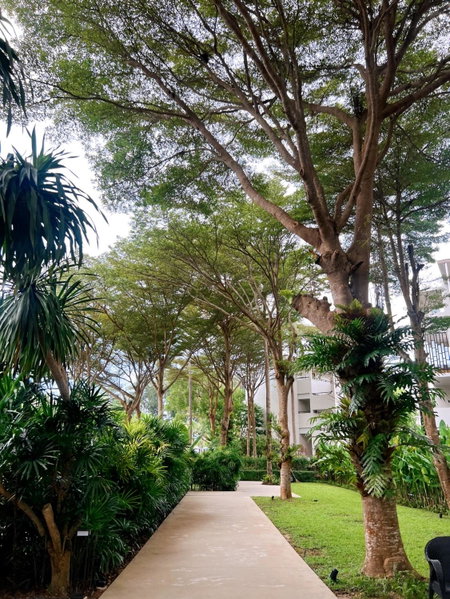 Le Meridien Phuket Mai Khao Beach Resort, Mai Khao Beach, ประเทศไทย