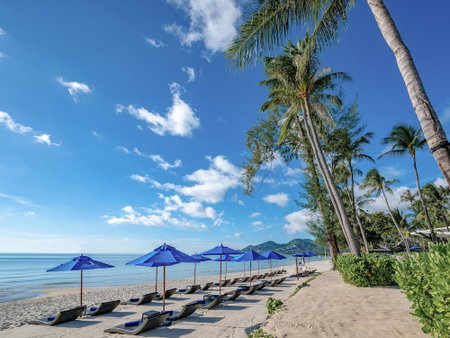 OZO Chaweng Samui, Ko Samui, ประเทศไทย