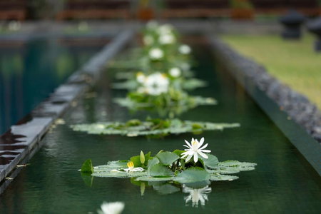 Anantara Chiang Mai Resort, Chiang Mai, ประเทศไทย
