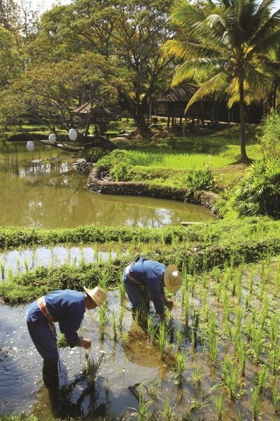 Four Seasons Resort Chiang Mai, Chiang Mai, ประเทศไทย