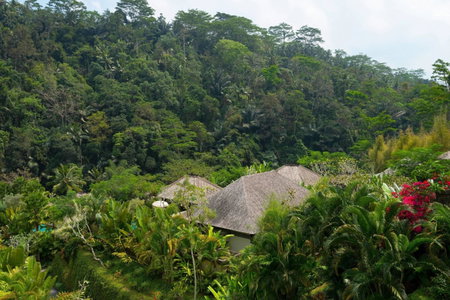 Mandapa, a Ritz-Carlton Reserve, Ubud, Indonesia