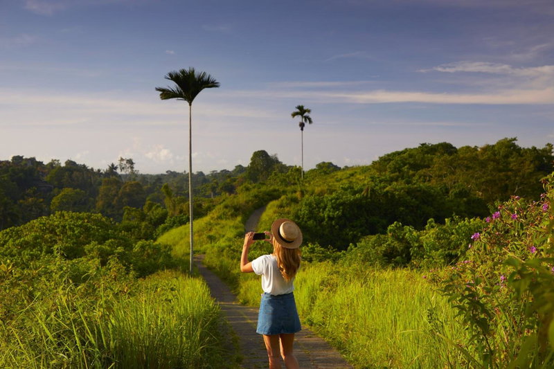 Element by Marriott Bali Ubud, Ubud, Indonesia