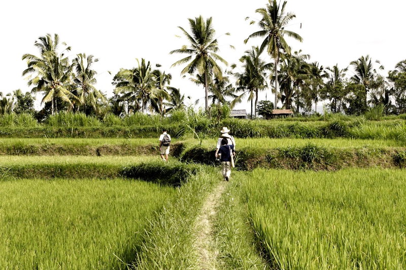 Hanging Gardens of Bali, Ubud, 인도네시아 공화국