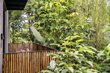 Bisma Eight Ubud, Ubud, Indonesia