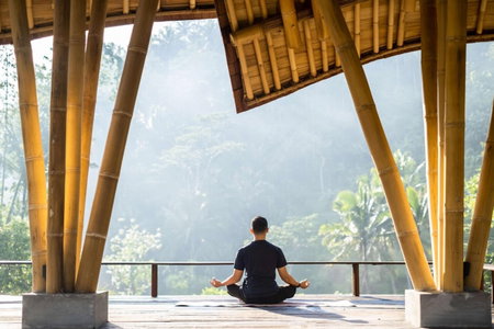 Buahan, a Banyan Tree Escape, Ubud, 인도네시아 공화국