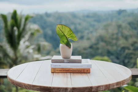 Buahan, a Banyan Tree Escape, Ubud, 인도네시아 공화국