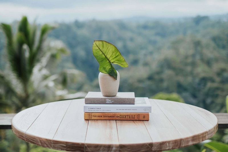 Buahan, a Banyan Tree Escape, Ubud, 인도네시아 공화국