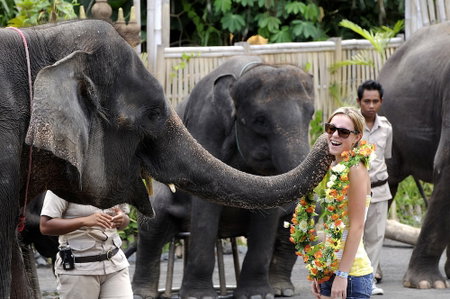 Mara River Safari Lodge, Klungkung, Индонезия