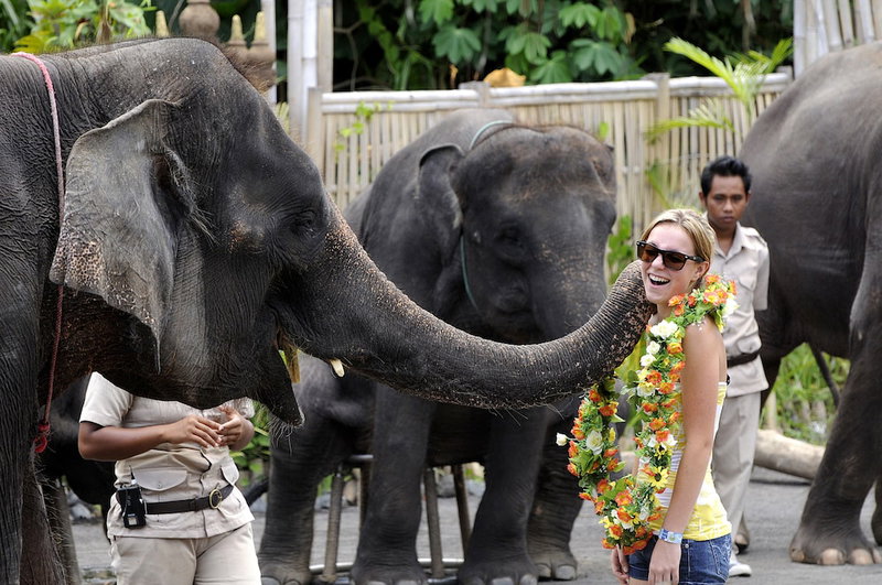 Mara River Safari Lodge, Klungkung, Индонезия