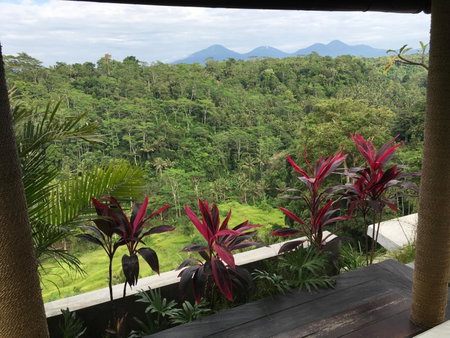 Ayuterra Resort, Ubud, Indonesia