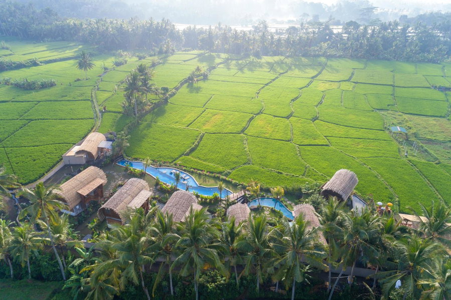 Beehouse Dijiwa Ubud, Ubud, Indonesia