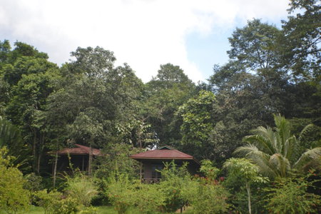 Sepilok Forest Edge Resort, Sandakan, Malaysia