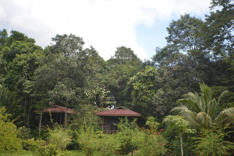 Sepilok Forest Edge Resort, Sandakan, Malaysia