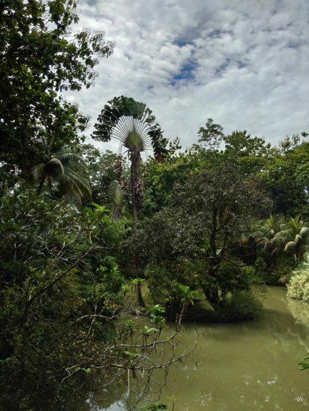Sepilok Jungle Resort, Sandakan, Malaysia