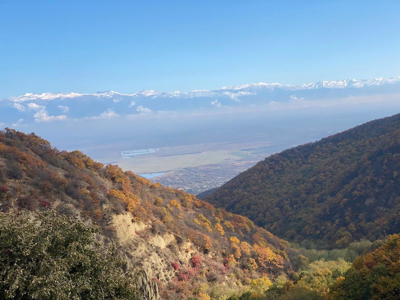Lia's Guest House, Sighnaghi, Georgien