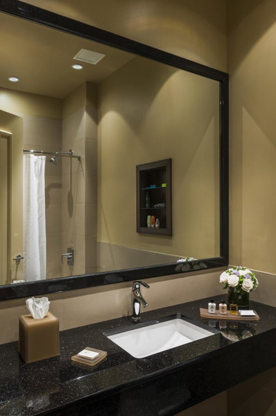 Opera House Hotel, Mott Haven, États-Unis