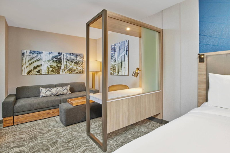 SpringHill Suites by Marriott Chicago Chinatown, Near South Side, United States