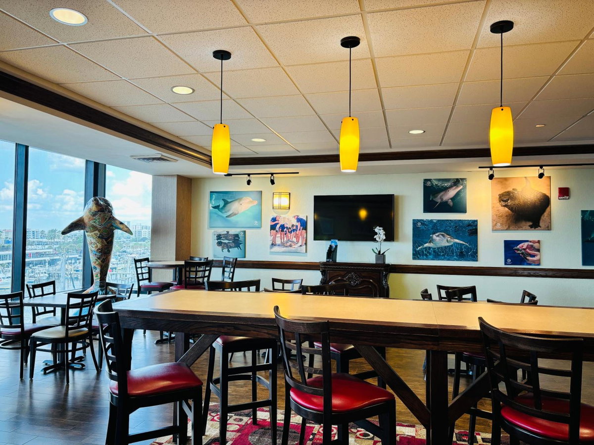 Pier House 60 Clearwater Beach Marina Hotel, United States