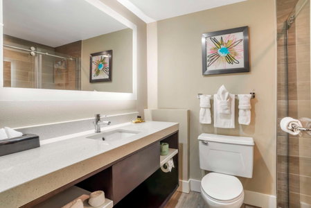 Best Western Plus Greenville I-385 Inn & Suites, Mauldin, United States