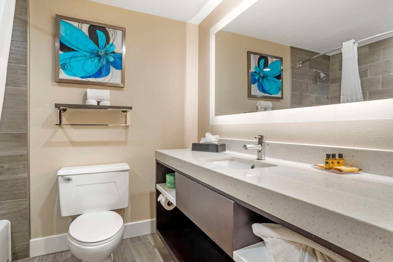 Best Western Plus Greenville I-385 Inn & Suites, Mauldin, United States