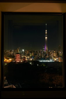 Richmond Hotel Premier Asakusa International, Urayasu, Япония
