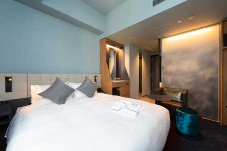 The Royal Park Canvas - Ginza 8, Tokyo, Japón
