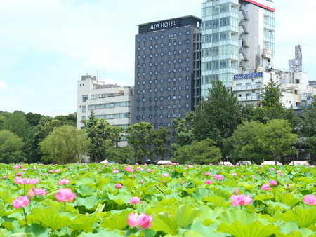 APA Hotel Keisei Ueno Ekimae, Tokyo, Japan