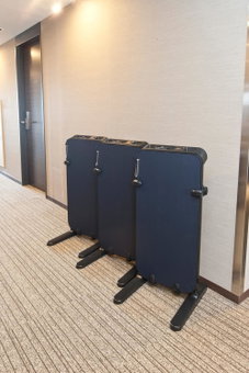 Sotetsu Fresa Inn Shimbashi Hibiyaguchi, Tokyo, Japan