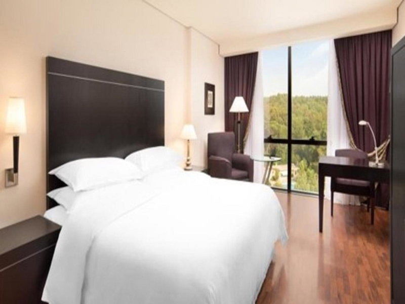 Mak Albania Hotel, Tirana, Albania