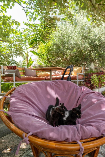 Villa Green Garden, Sarande, Albania