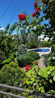 Olympia Garden Hotel, Yerevan, Армения