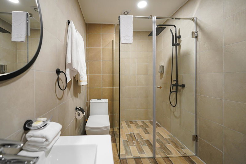 Felinger Concept Hotel, Yerevan, Armenia