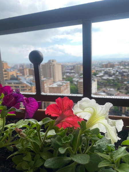 Rooftop Apart-Hotel, Yerevan, Armenia