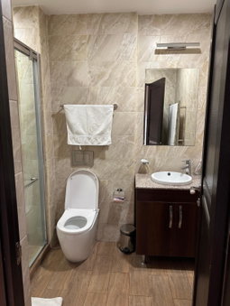 Beautiful apartment in the center of Yerevan, Yerevan, Armenien