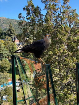 Charming Residences & Suites with Private Spa, San Carlos de Bariloche, Argentina