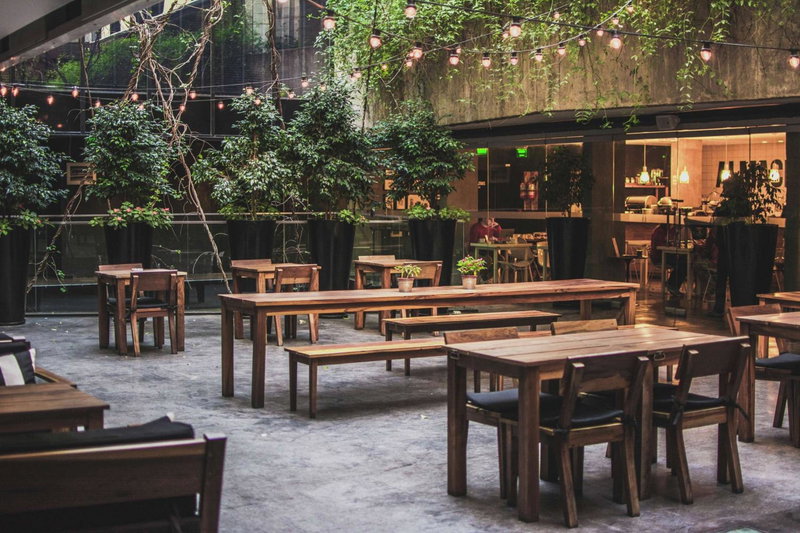 Anselmo Buenos Aires, Curio Collection by Hilton, Buenos Aires, Argentine