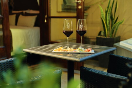 Miravida Soho Hotel & Wine Bar, Colegiales, Argentinien