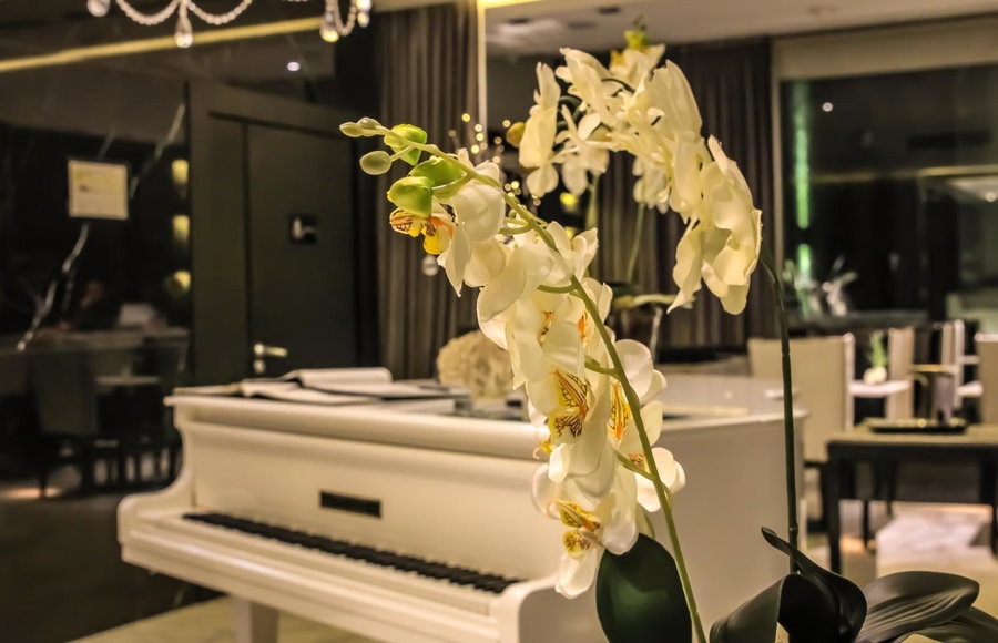 1828 Smart Hotel Boutique, Colegiales, Argentina