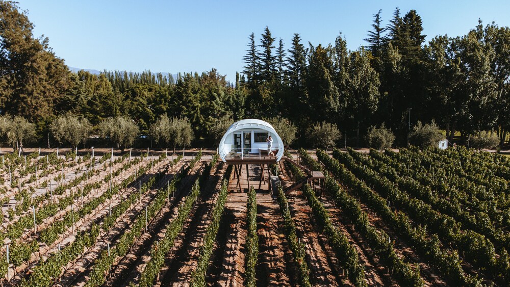 Entre Cielos Wine & Wellness Hotel, Argentina